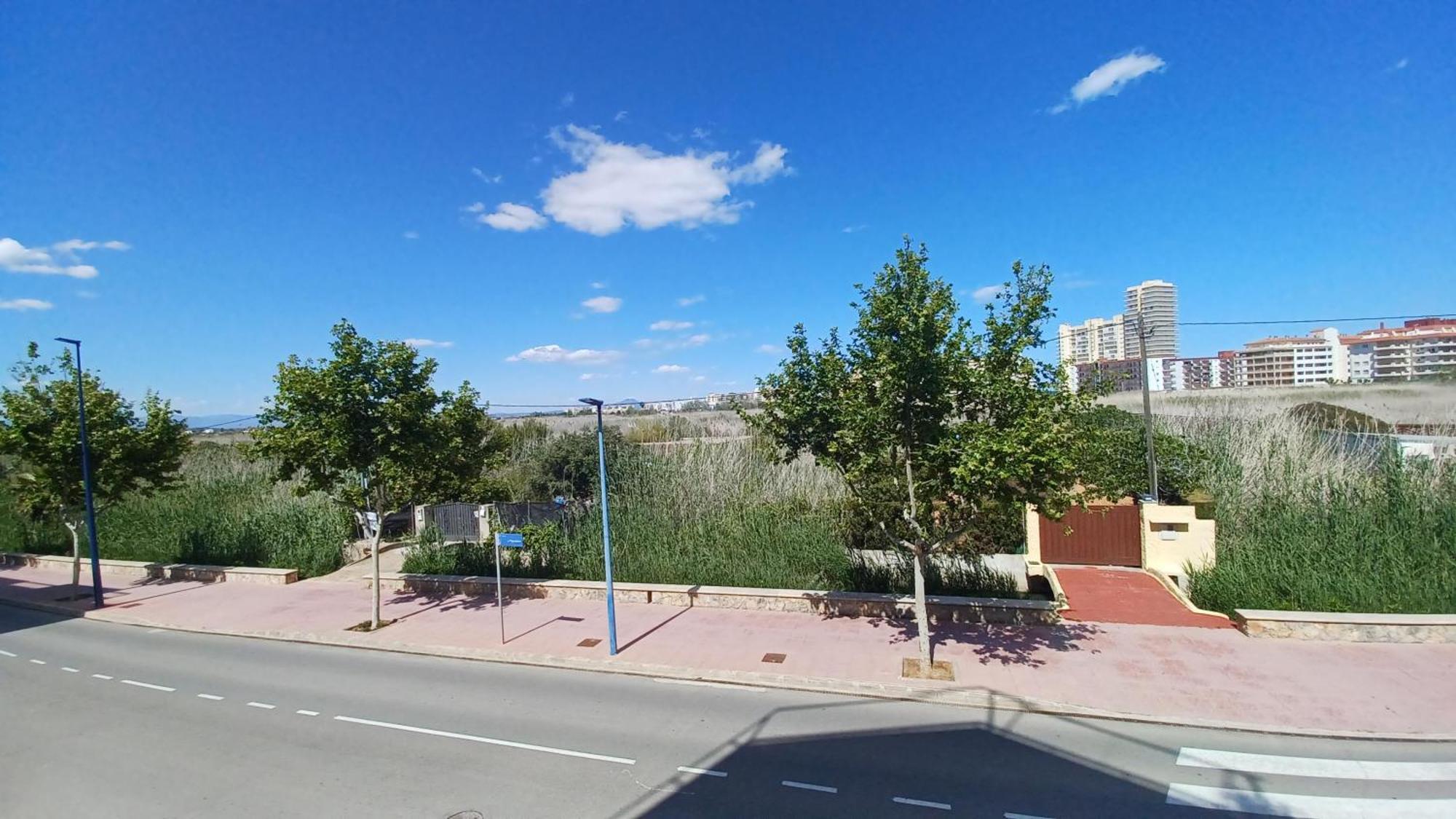Azahares Vista Parque Orangecosta Lejlighed Peñíscola Eksteriør billede